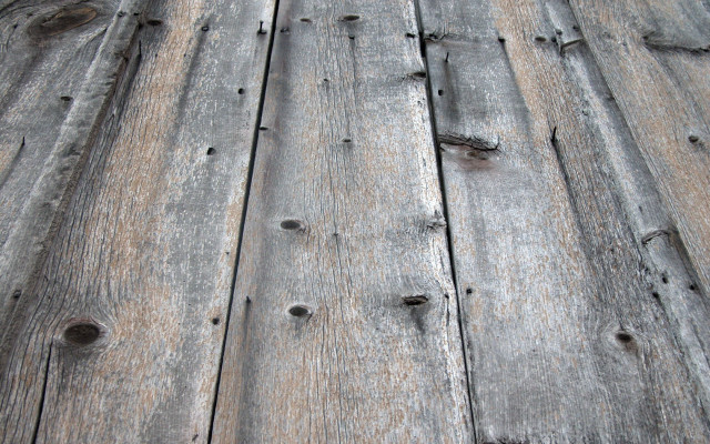 Wooden floor bird back bird #3 free wallpaper - medium preview image