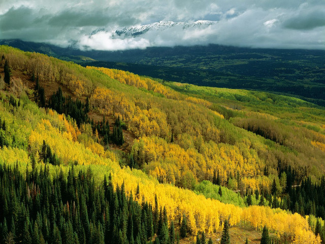 Mountain forest snowclouds autumn lake free wallpaper - medium preview image