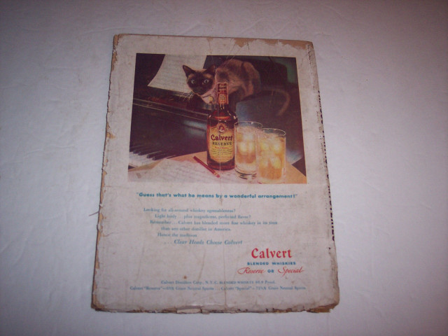 Cat table alcohol beer glass free wallpaper - medium preview image