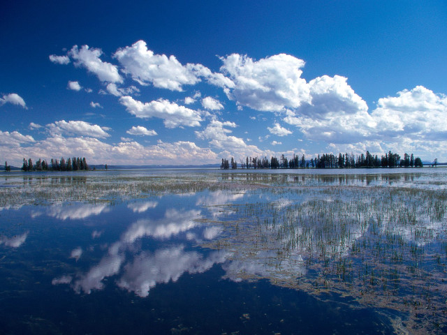 Lake trees clouds bridge city free wallpaper - medium preview image