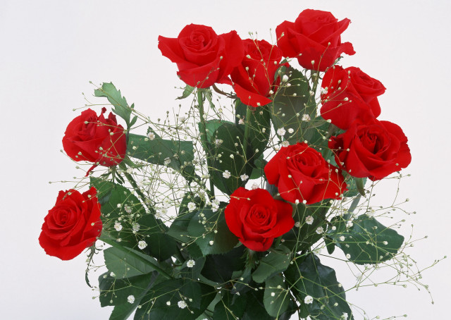 Vase red roses table white #6 free wallpaper - medium preview image