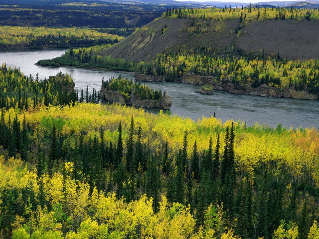 River forest hillside green trees free wallpaper - medium preview image