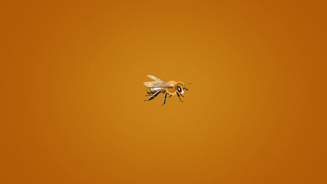 Bees flying yellow background black free wallpaper - medium preview image