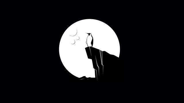 Black white person cliff bird free wallpaper - medium preview image