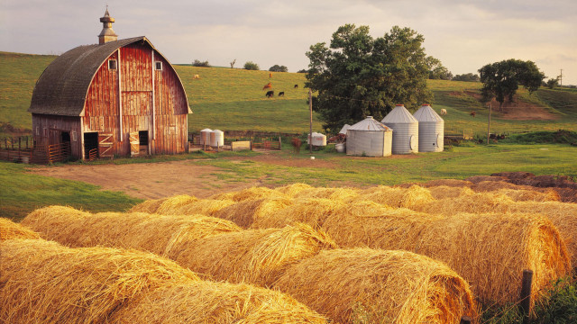 Barn field hay silos cows free wallpaper - medium preview image