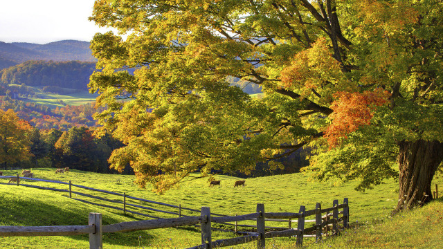 Fenced pasture horse mountain autumn free wallpaper - medium preview image