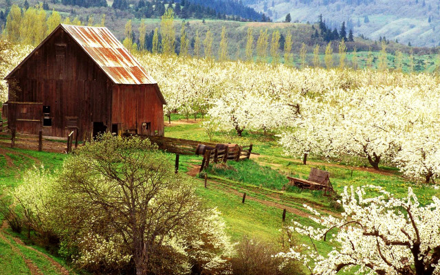 Barn flowers mountains trees fence free wallpaper - medium preview image