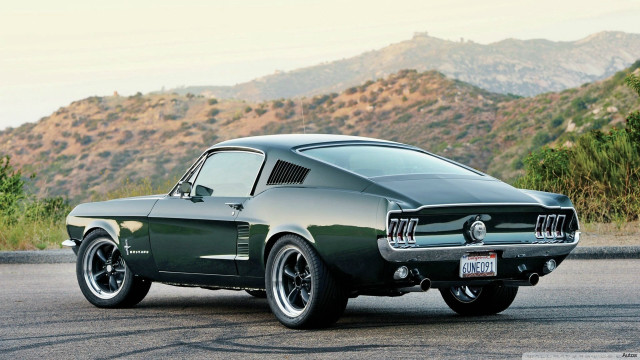 Mustang mountain forest vehicle tire free wallpaper - medium preview image