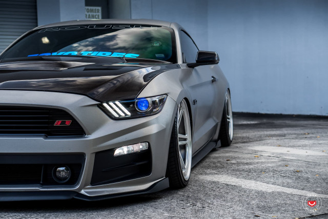 Mustang blue stripe hood hoods free wallpaper - medium preview image