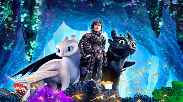Man dragon cat forest stars free wallpaper - medium preview image