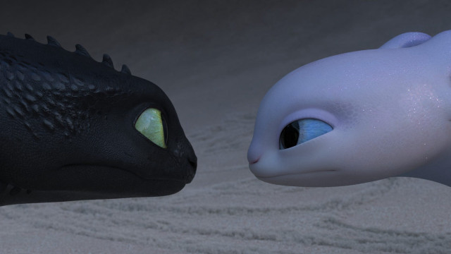 Dragon cat face sandy grass free wallpaper - medium preview image