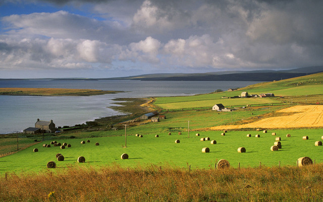 Hayfield lake houses panoramic cloudy free wallpaper - medium preview image