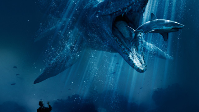 Man taking picture shark water free wallpaper - medium preview image