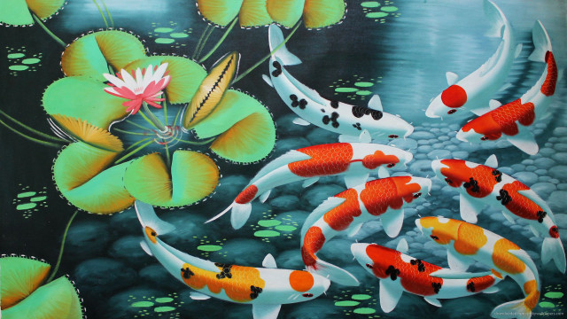 Koi fish pond lily pads free wallpaper - medium preview image