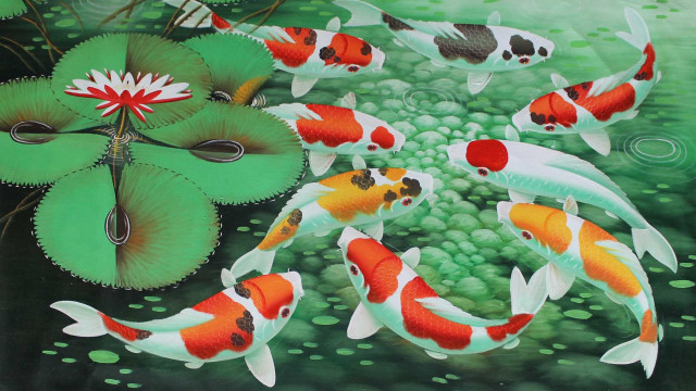 Pond koi fish lily pad free wallpaper - medium preview image
