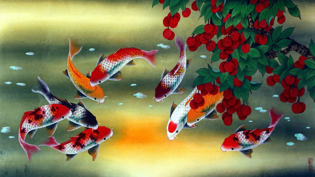 Fish swimming pond red berries free wallpaper - medium preview image