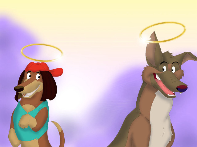 Dog halo dog hat funny free wallpaper - medium preview image