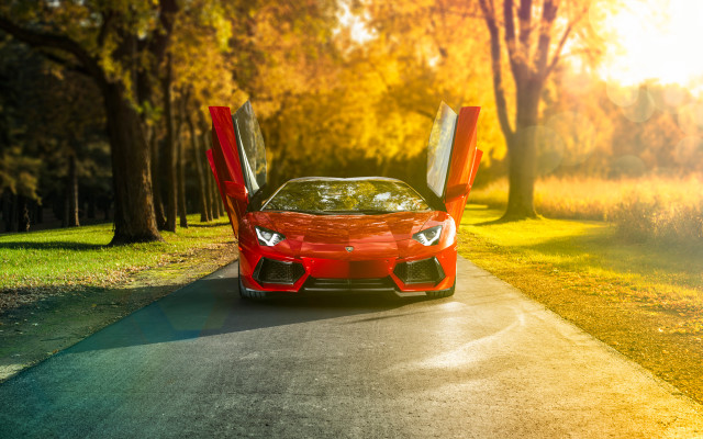 Red sports car open doors #9 free wallpaper - medium preview image