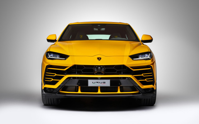 Yellow lambsuv front view menacing free wallpaper - medium preview image