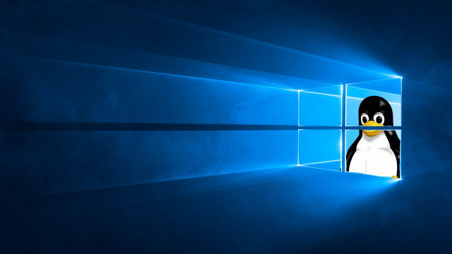 Penguin peeking window dark room free wallpaper - medium preview image