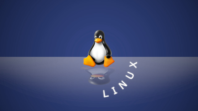 Linux bernd fasching blackbird computer free wallpaper - medium preview image