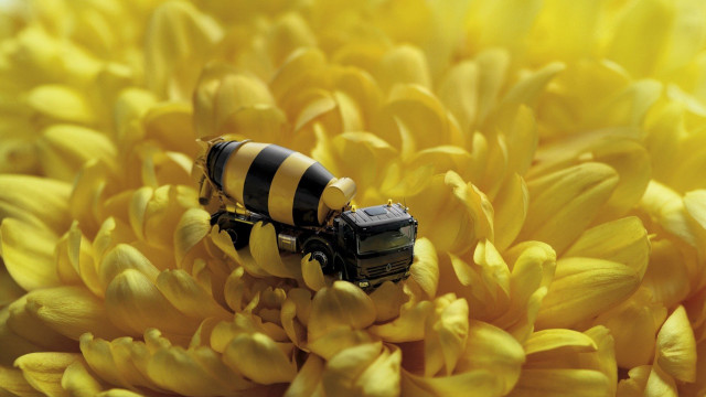 Toy truck yellow flower macro free wallpaper - medium preview image
