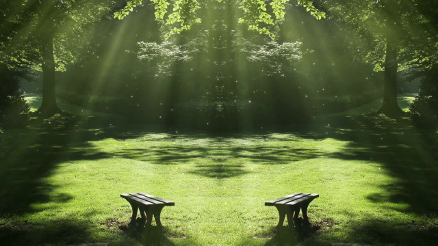 Holographic park bench nature starry free wallpaper - medium preview image