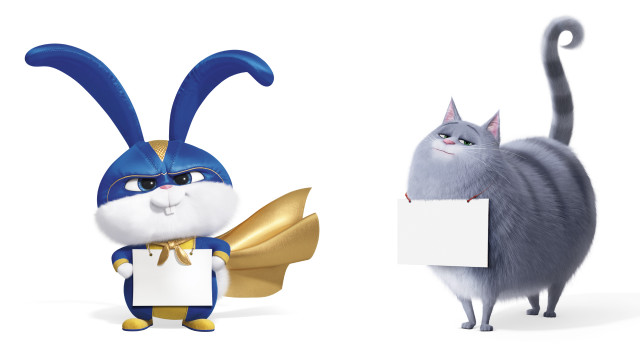 Cat bunny holding sign together free wallpaper - medium preview image