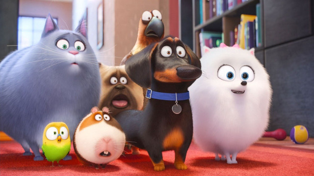 Animated animals red carpet bookcase free wallpaper - medium preview image