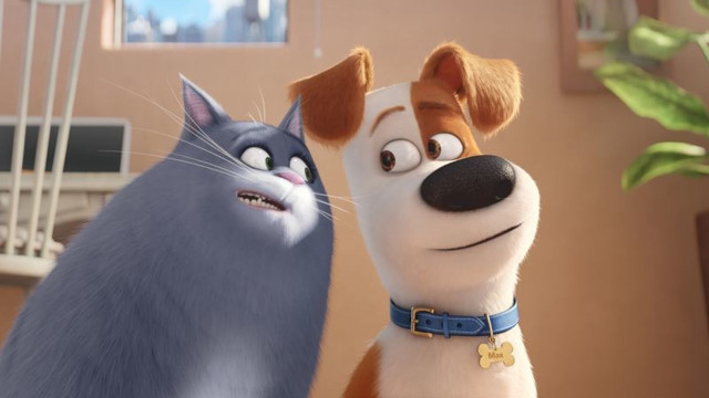 Dog cat cartoon scene together free wallpaper - medium preview image