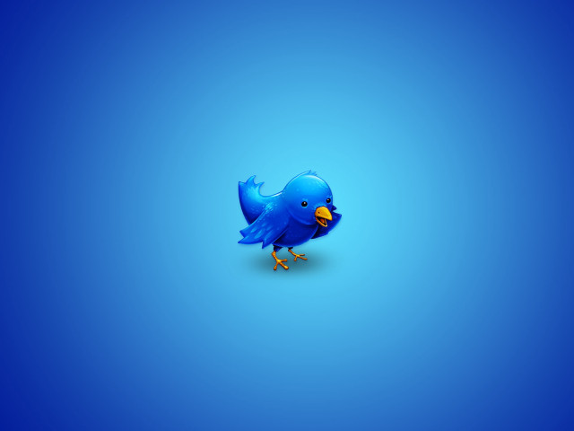 Blue bird outdoors penguin sky free wallpaper - medium preview image