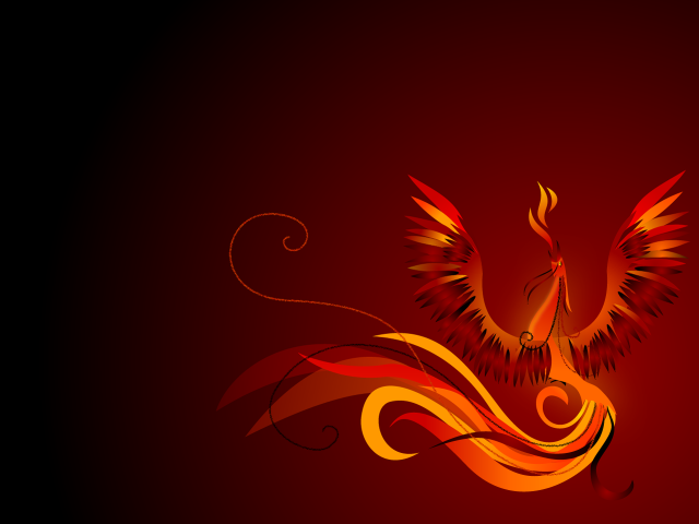 Bird long tail flying red free wallpaper - medium preview image