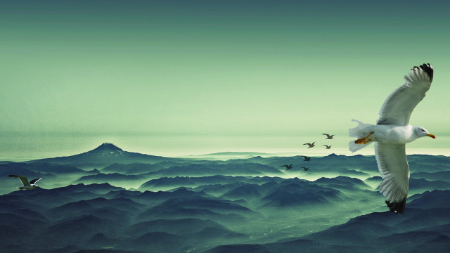 Birds mountains sky green flock free wallpaper - medium preview image