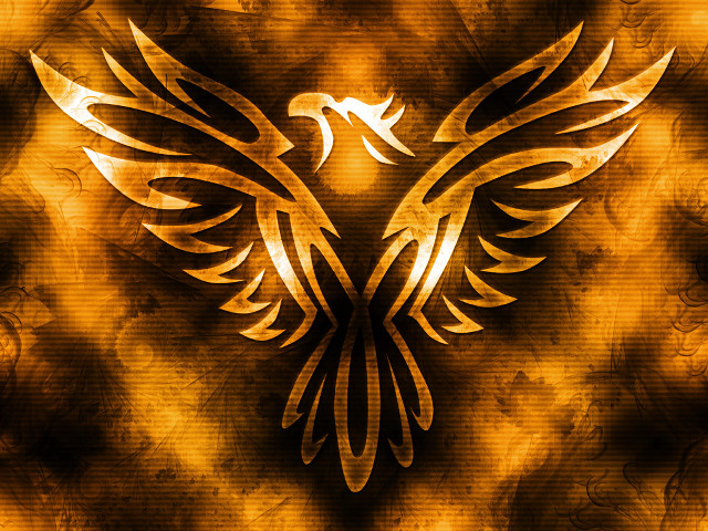 Golden bird black white wings free wallpaper - medium preview image