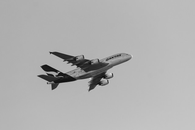 Large jetliner gray sky landing free wallpaper - medium preview image