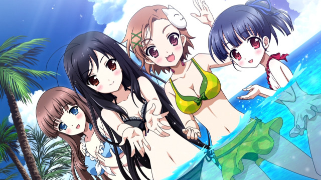 Girls bikinis beach ocean palm free wallpaper - medium preview image