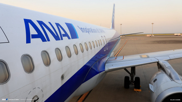 Large commercial airplane runway door free wallpaper - medium preview image