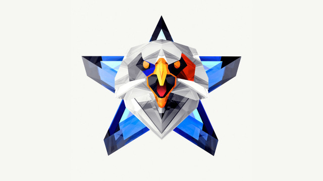 Stylized bird star background head free wallpaper - medium preview image