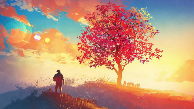 Man standing tree hill sunset free wallpaper - medium preview image