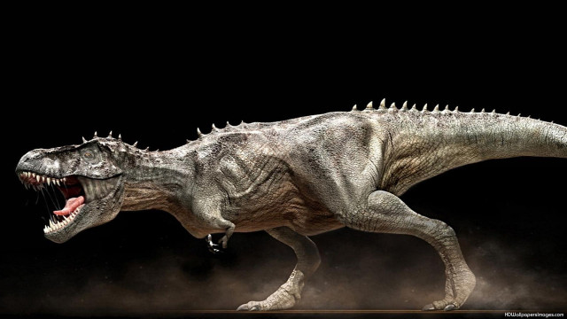 Dinosaur mouth open teeth wide #2 free wallpaper - medium preview image