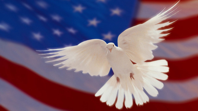 White dove american flag stars free wallpaper - medium preview image