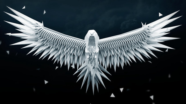 White bird wings spread out free wallpaper - medium preview image