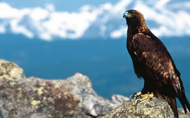 Eagle mountain scenery blue sky free wallpaper - medium preview image