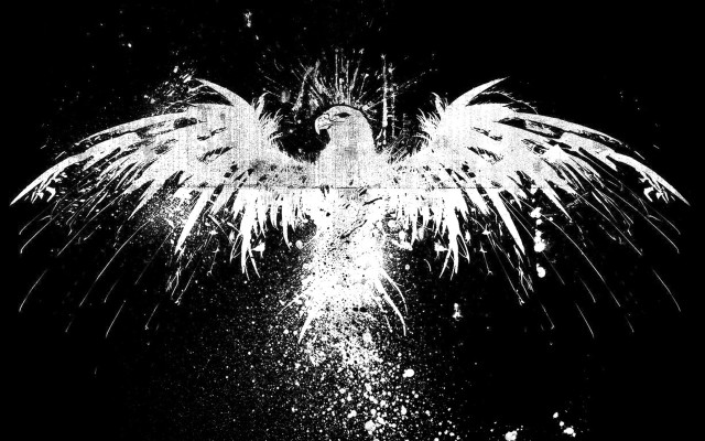 Black white bird wings spread #3 free wallpaper - medium preview image
