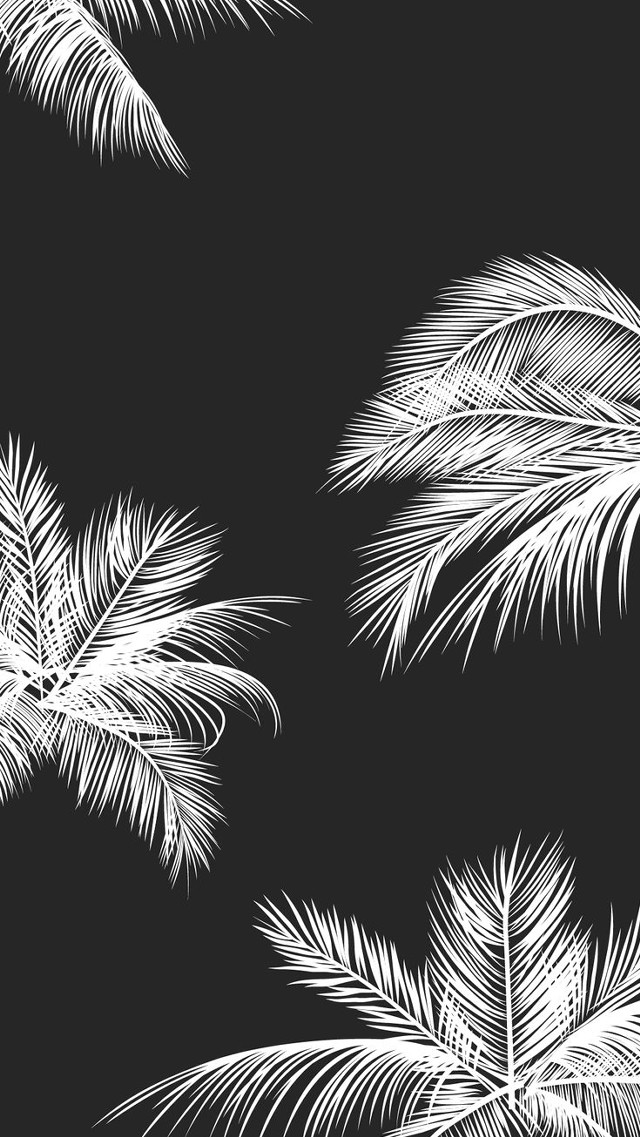 Black white palm trees ambient free wallpaper - medium preview image