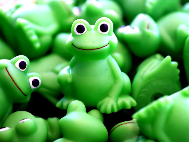 Close up green frogs wide free wallpaper - medium preview image
