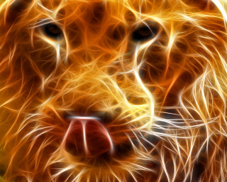 Lion face blurry background orange - alison kinnaird free wallpaper