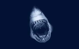 Shark mouth open teeth dark - tooth wide free wallpaper