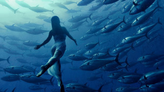 Woman standing group fish ocean - annie leibovitz free wallpaper