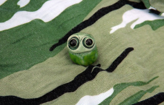 Green toy eyes camouflage shirt - ecological art free wallpaper